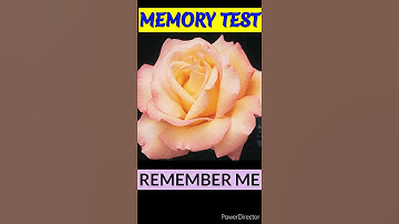 MEMORY TEST 29 - Riddles and Puzzles for IQ Test | Hindi Paheli #shorts #shortvideo #viral