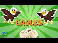 Eagles: Majestic Birds of Prey