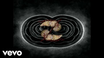 "Weird Al" Yankovic - Pancreas (Official Video)