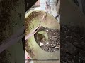 Broken Tile Runs Down The Chute