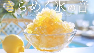 🌿 Sparkling Cool Sounds / Breeze & Insects, Guitar – Soft