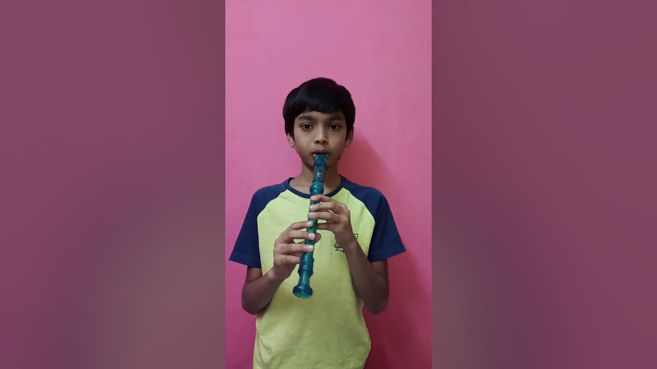 Darkside Alan walker / Recorder Instrumental played by Mozart