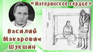 картинка: Материнское сердце | В. М. Шукшин
