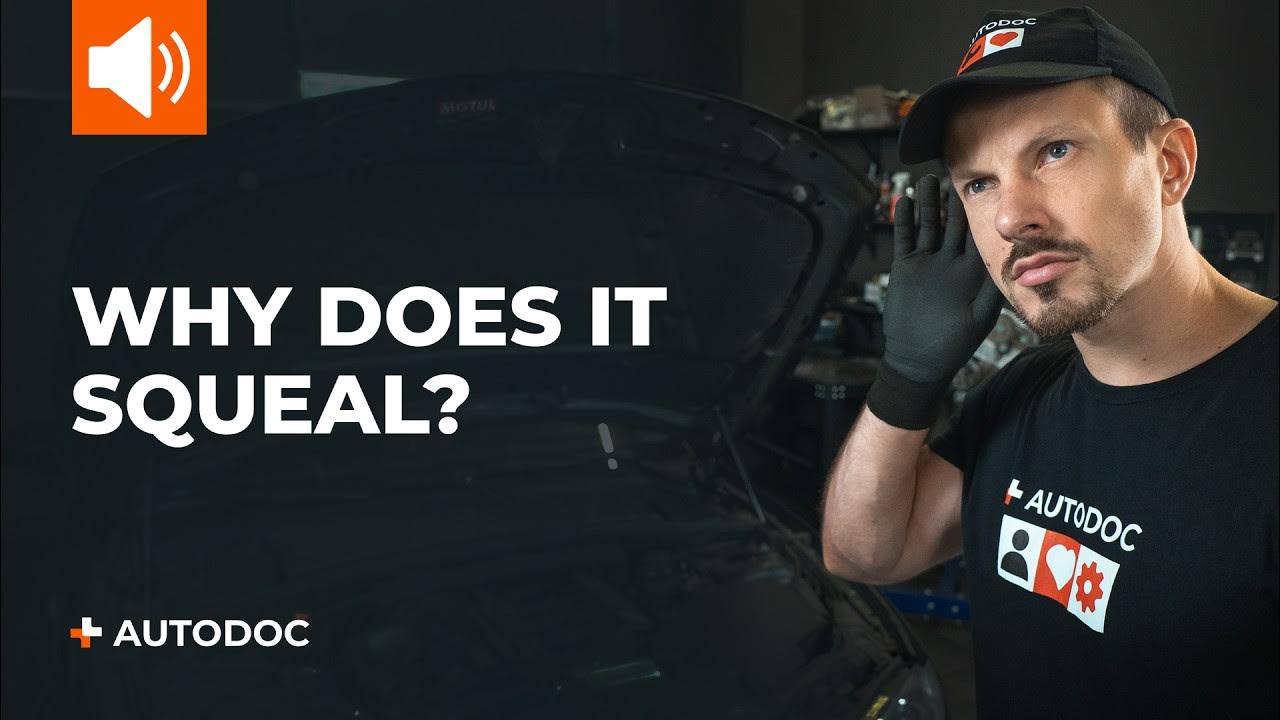 Top 5 reasons why your car squeals | AUTODOC Tips - YouTube