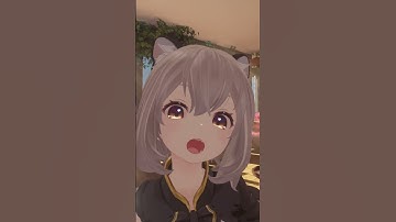 NecoMaid - Face Tracking Add-On V2