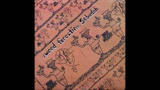 Sebadoh - It&#39;s So Hard To Fall In Love