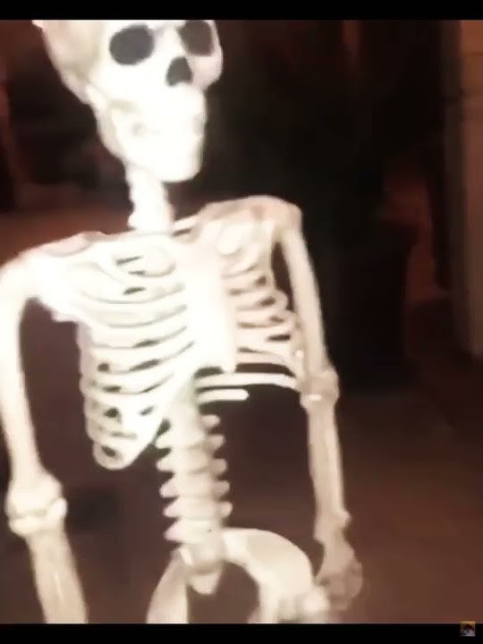 Skeleton Meme Template