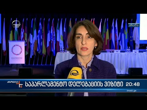 საქართველოს საპარლამენტო დელეგაცია პრაღაშია