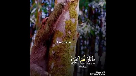وَرَبُّكَ يَخْلُقُ مَا يَشَاءُ وَيَخْتَارُ || ياسر الدوسري من سورة القصص || حالات واتساب & انستجرام