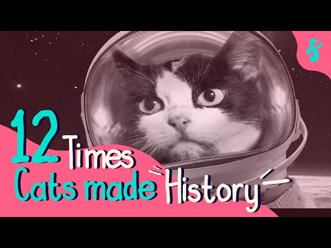 12 Times that
