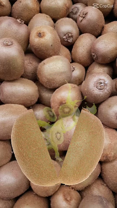A MILLION KIWIS #shorts #viral #youtubeshorts #kiwi #fruit #magic #awesome #funny #amazing #great