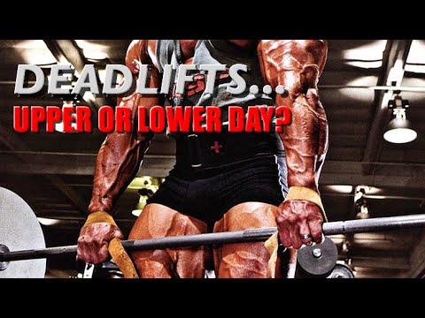 female deadlift tutorial Deadlift Workout Routine