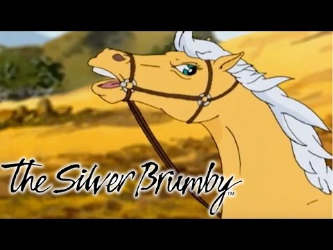 The Silver Brumby - The Sight of Golden (HD - Full Episode)