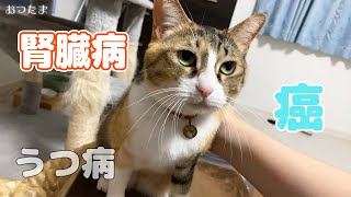 これからどうすればいいのか。腎臓病、末期がん、うつ病。