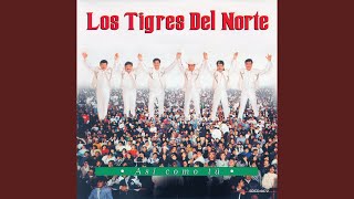 Video thumbnail of "Los Tigres Del Norte - Te Soñe Conmigo"