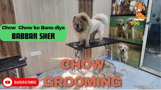 Chow Chow Grooming | Summer Cut of a Chow Chow | Complete Scissoring work for Chow Chow Summer Cut.