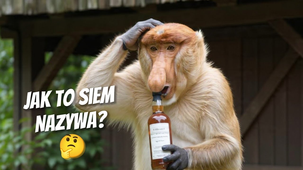 Tullibardine 2003 - WB236889 - odcinek 105