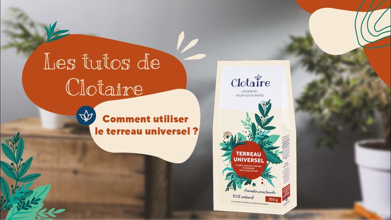 Terreau Universel - Clotaire