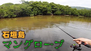 石垣島のマングローブ森は生き物だらけ！？ヤバすぎる秘境に潜入！【石垣島編#2】
