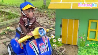 Cute Monkey Luby Rides A Vespa Motorbike To Go For A Walk To The Park