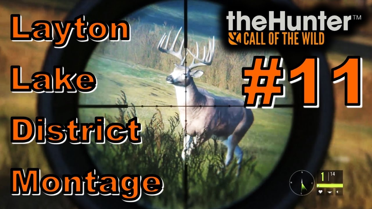 Layton Lake District Montage Thehunter Call Of The Wild 17 Youtube