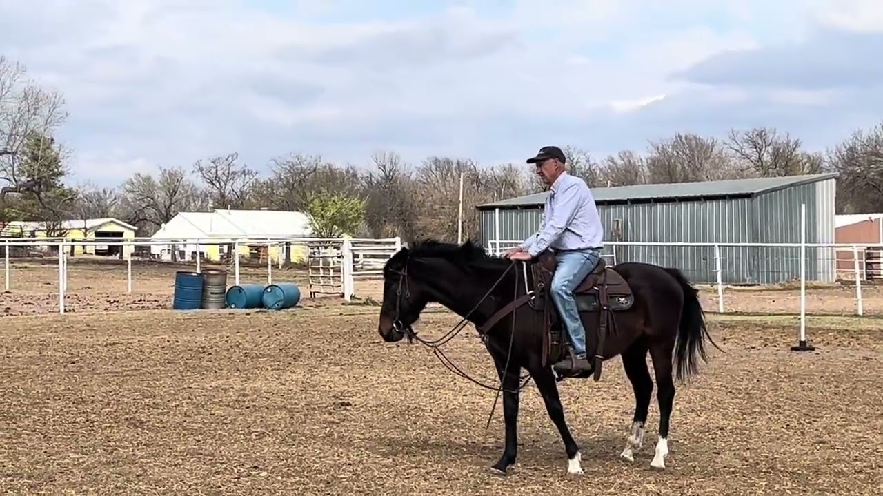 3 Yr Old Grandson of Tres Seis