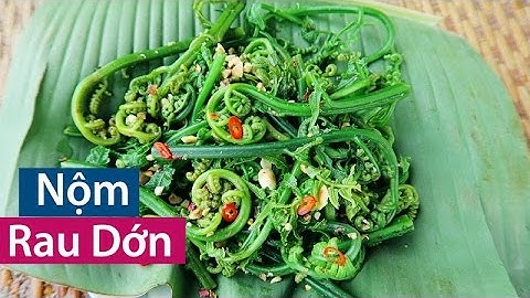 NỘM RAU DỚN | Rau Rừng