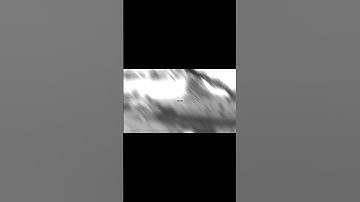 Best sniper player❤️‍🔥🌪️🫡.  #callofdutymobile #codm #viralvideo #viralshorts #callofduty #gaming