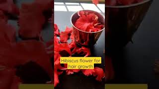Hibiscus flower for fast hair growth and hair fall l #shorts#hairfall #hibiscus  #pratimasvision screenshot 5