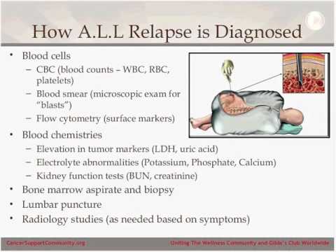 कैंसर के बारे में स्पष्ट रूप से बोलते हुए: तीव्र लिम्फोसाइटिक ल्यूकेमिया