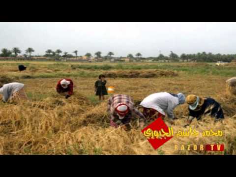 اروع عتابة نمر الدوري ياطير ان جيت  