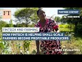 How fintech is helping small-scale farmers become profitable producers | FT Food Revolution