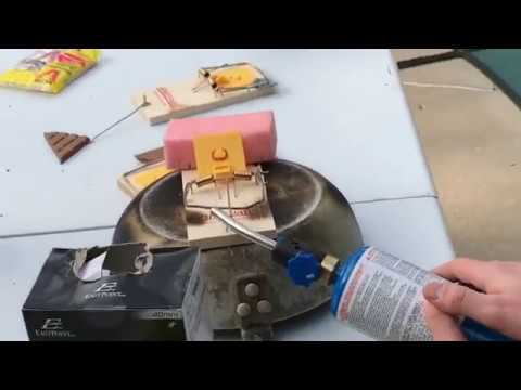 knife sharpener 1000 DEGREE MOUSETRAP Vs Objects!!! (Experiment)