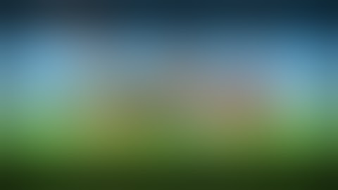 Shuric Scan LOL Fast! (Short Time)