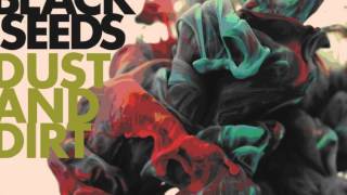 The Black Seeds - Frostbite_2012 (New album_Dust and Dirt).wmv