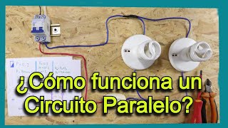 How a parallel circuit of 2 light bulbs operated by a switch works