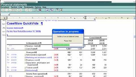 IFRS Financials: Working in the Financial Statements - Adding Areas and Formats