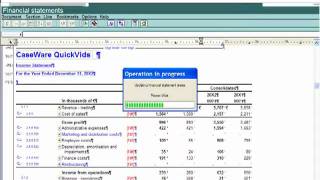 IFRS Financials: Working in the Financial Statements - Adding Areas and Formats