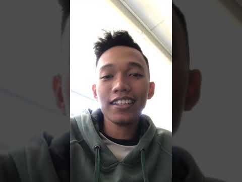haloguys anjay