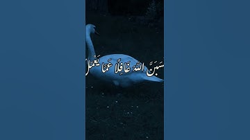 القران الكريم |quran alkarim #اكسبلور #المصحف #لايك #الرحمن #القرآن_الكريم