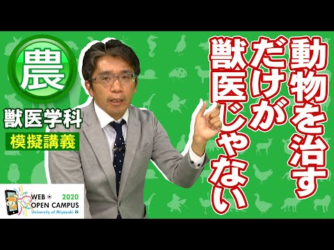 「動物を治すだけが獣医じゃない!ヒトと動物に共通するウイルス感染症を解明する獣医微生物学」農学部・岡林 環樹