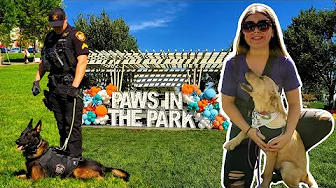 PAWS IN THE PARK 2023 | United Pet Fund Fundraiser at Summit Park in the City of Blue Ash, Ohio!
