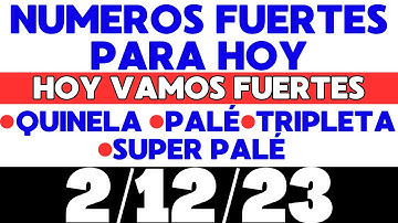 Numerologia de hoy 02/12/23 Datos numéricos fuertes dia Sabado