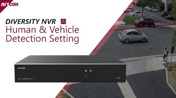 Diversity NVR - Human & Vehicle Detection Setting