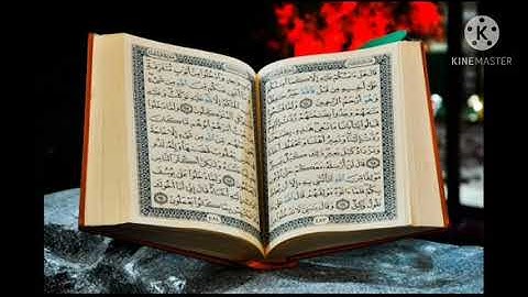 القران الكريم/ الشيخ عامر الكاظمي/ سوره يونس