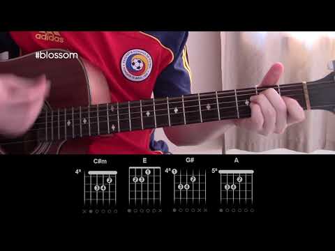 Blossom - Milky Chance - Guitar Lesson Tab - How To Play