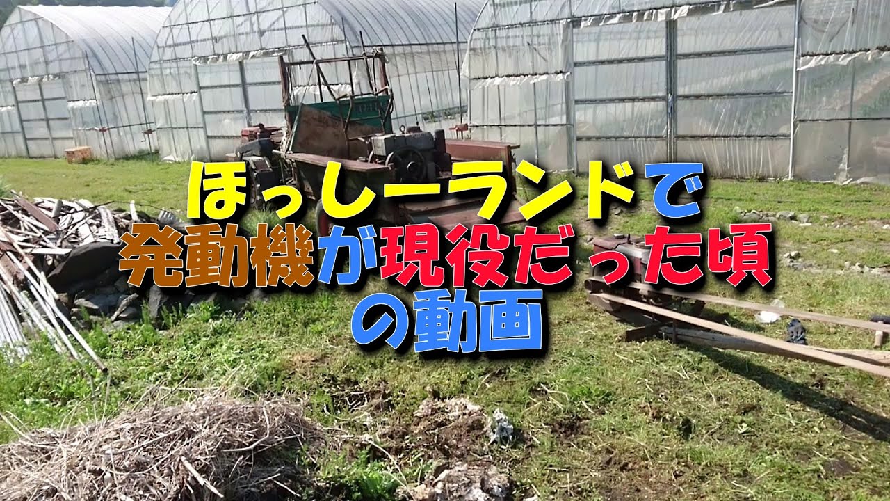 昭和の名残　発動機で藁切り　現役最後の瞬間　#発動機#発動機愛好会#農家#三菱かつら#ディーゼルエンジン#平ベルト