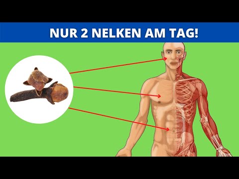 Aus diesen 6