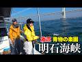 青物の楽園!激流の明石海峡遠征でまさかの大物と大激闘。
