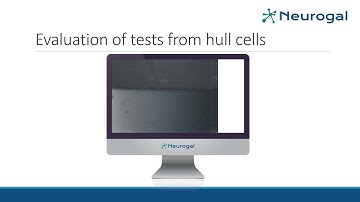 Hull cell